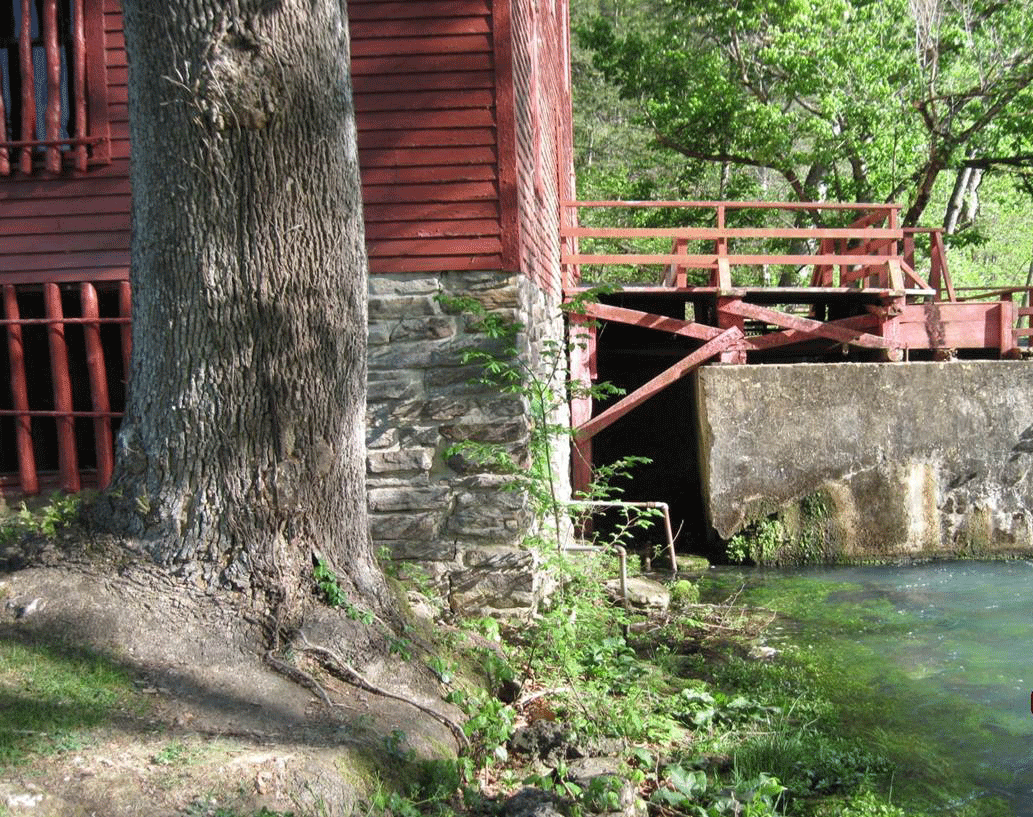 Alley-Tree-Damaging-Foundation