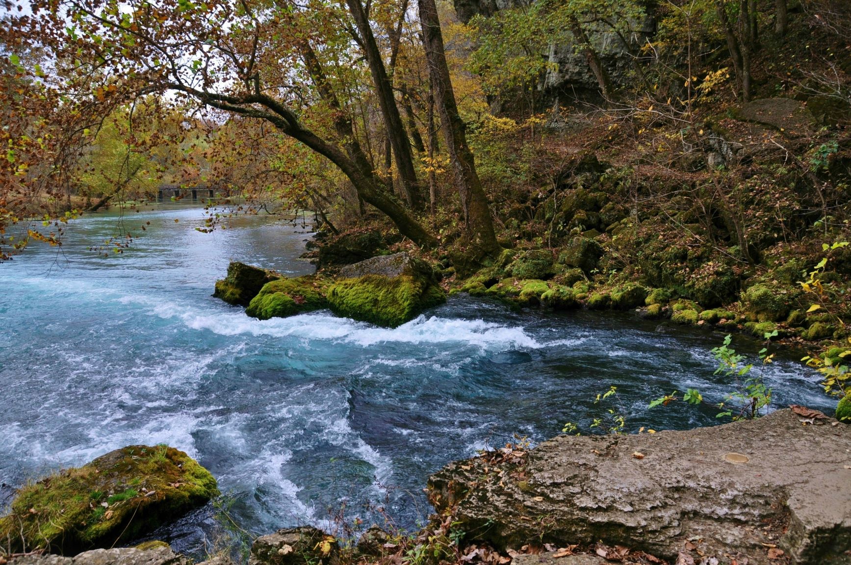 big spring in fall with water, moss covered rocks, trees with brown leaves