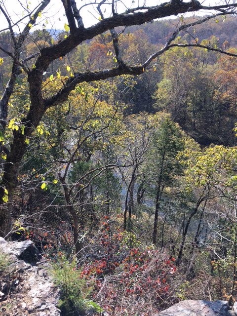 an overlook view from cave spring trail with trees in fall color