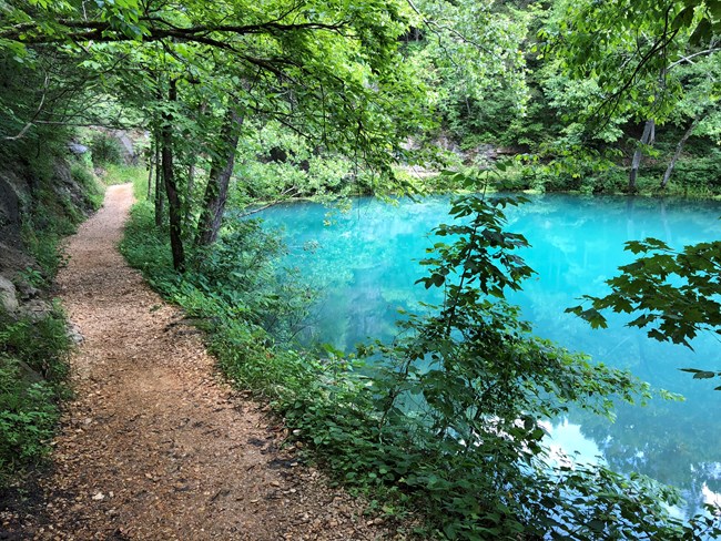 blue water of alley spring and trail around it