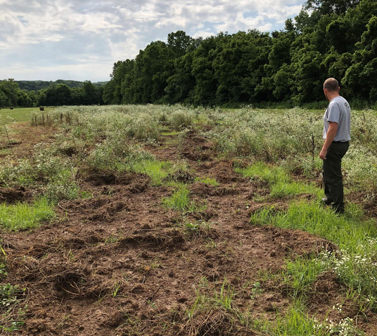 a man standing in a field looking at the ground torn up from hogs