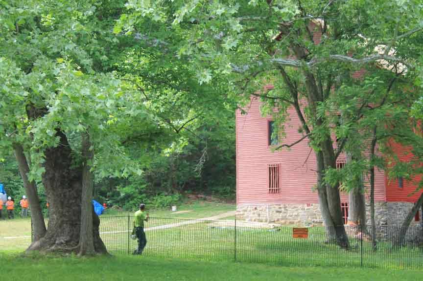 Mill with  tree being cut