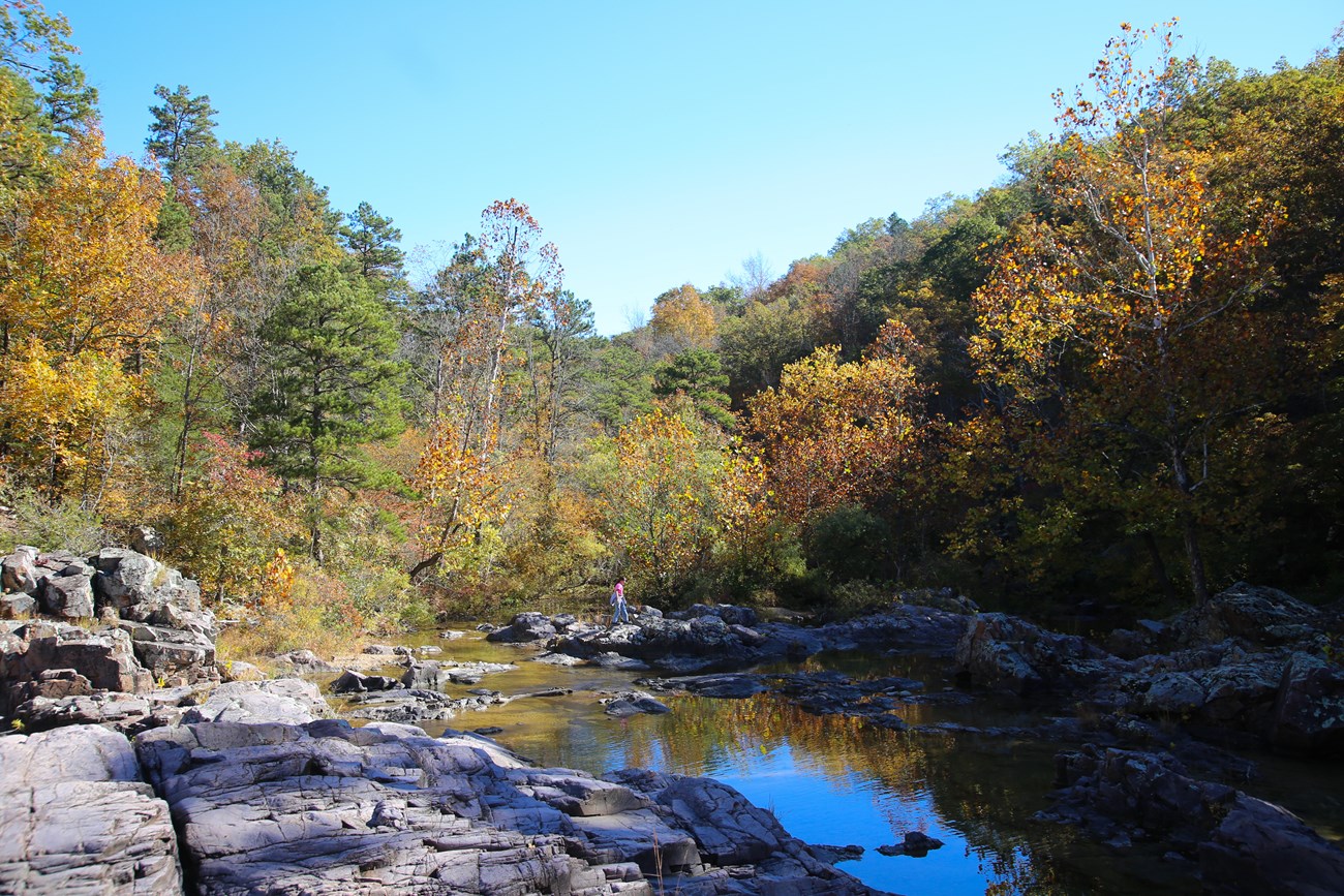 A hiker walks across a large shut-in. Fall colors surround the rocks.