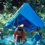 family camping in tent