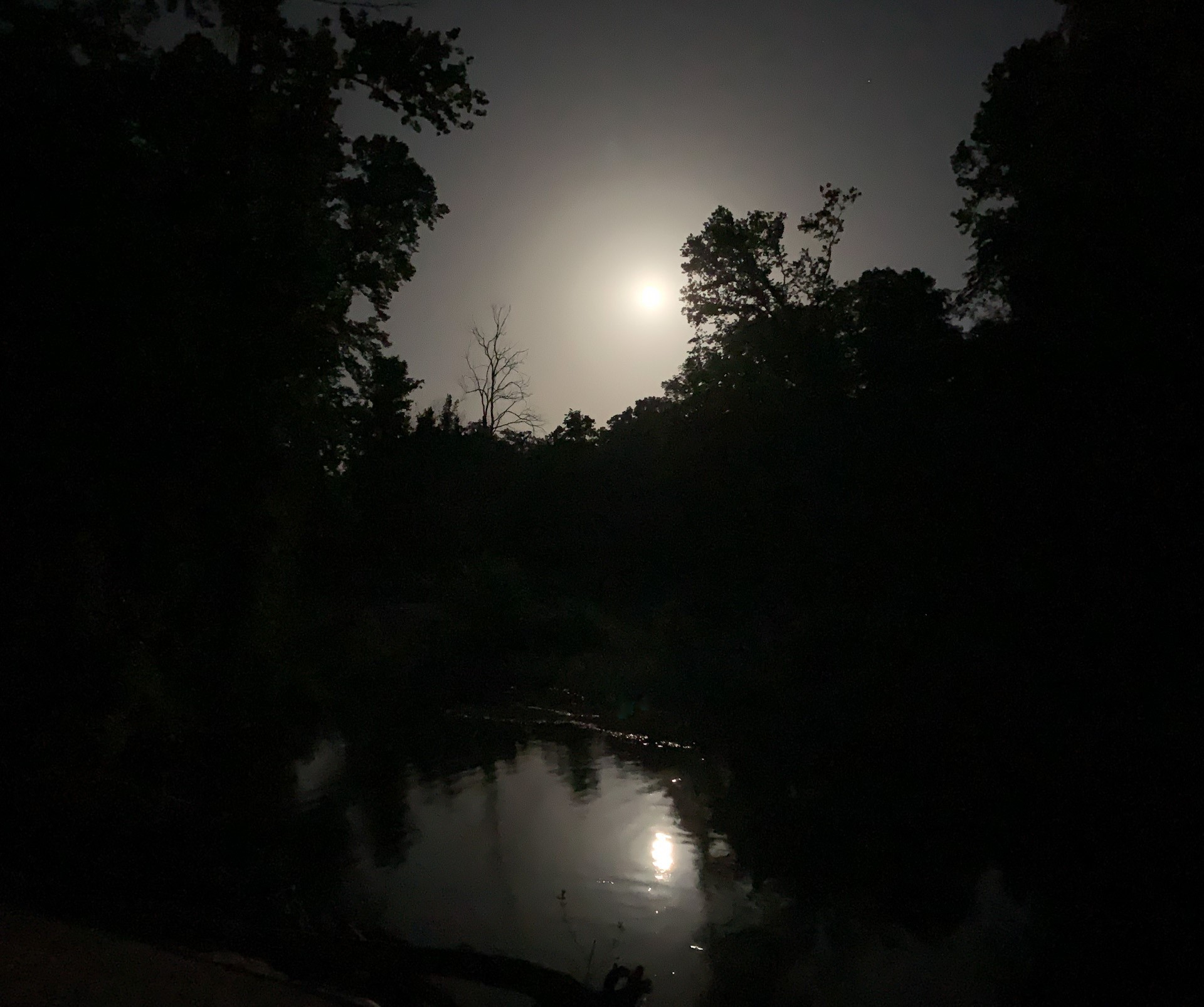 download89 A nighttime photo with a foggy full moon glowing through a cloudy sky. The moon's reflection is in the water of a stream below. The black outlines of the forest trees are visible.