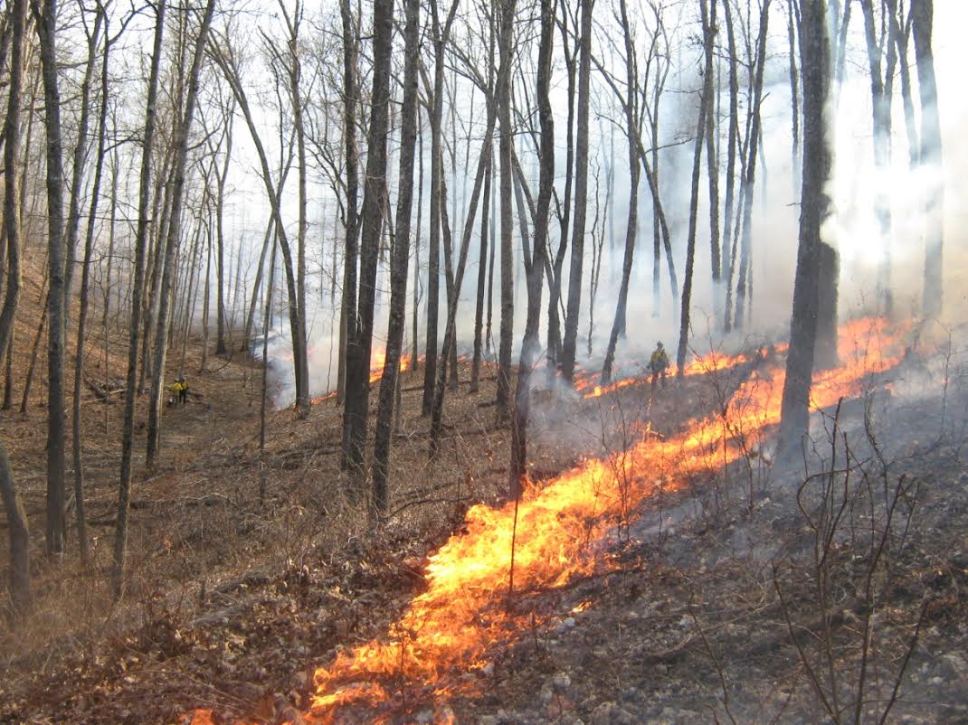 prescribed-fire