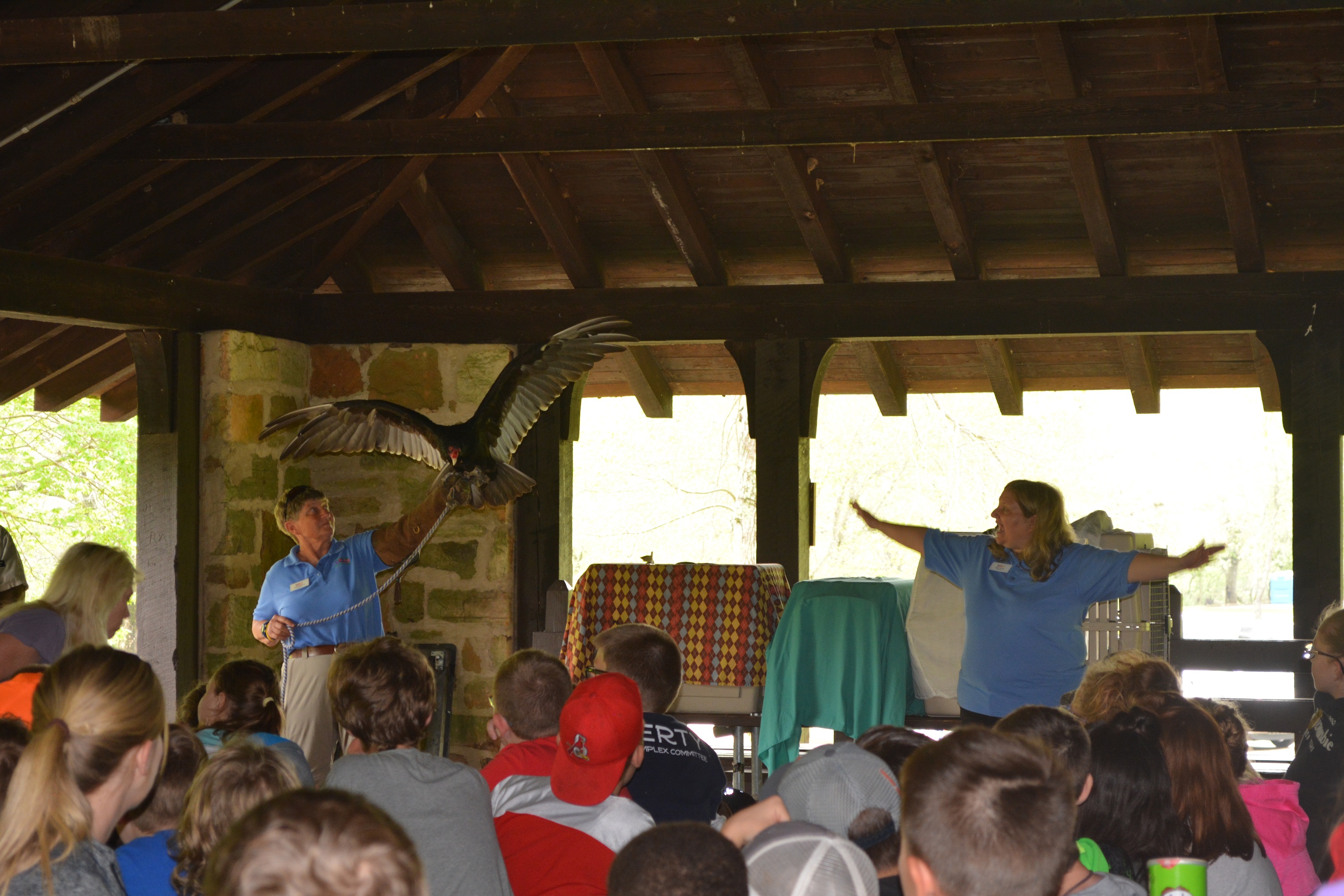presenters in pavilion with birds of prey while students look ahead