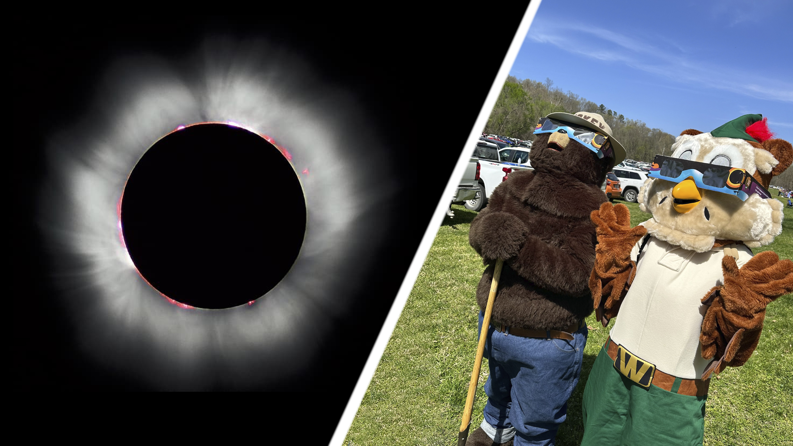 A split photo: left side is a total eclipse showing dark moon with faint solar flares around ring. right photo is woodsy and smokey the bear with solar glasses looking up at sky