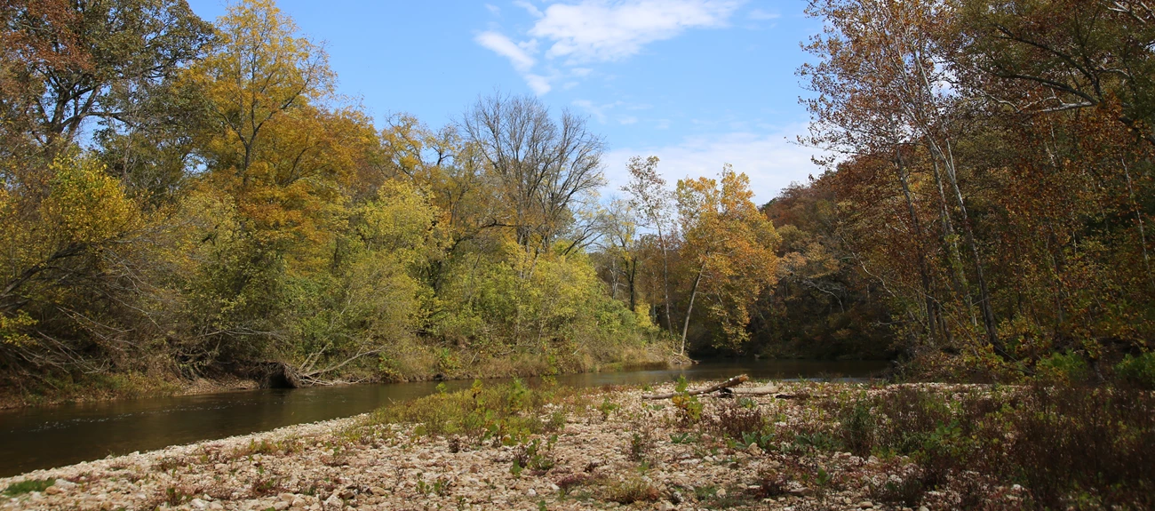 A Ford on the Upper Current River A gravel bar along a river, lined with trees.