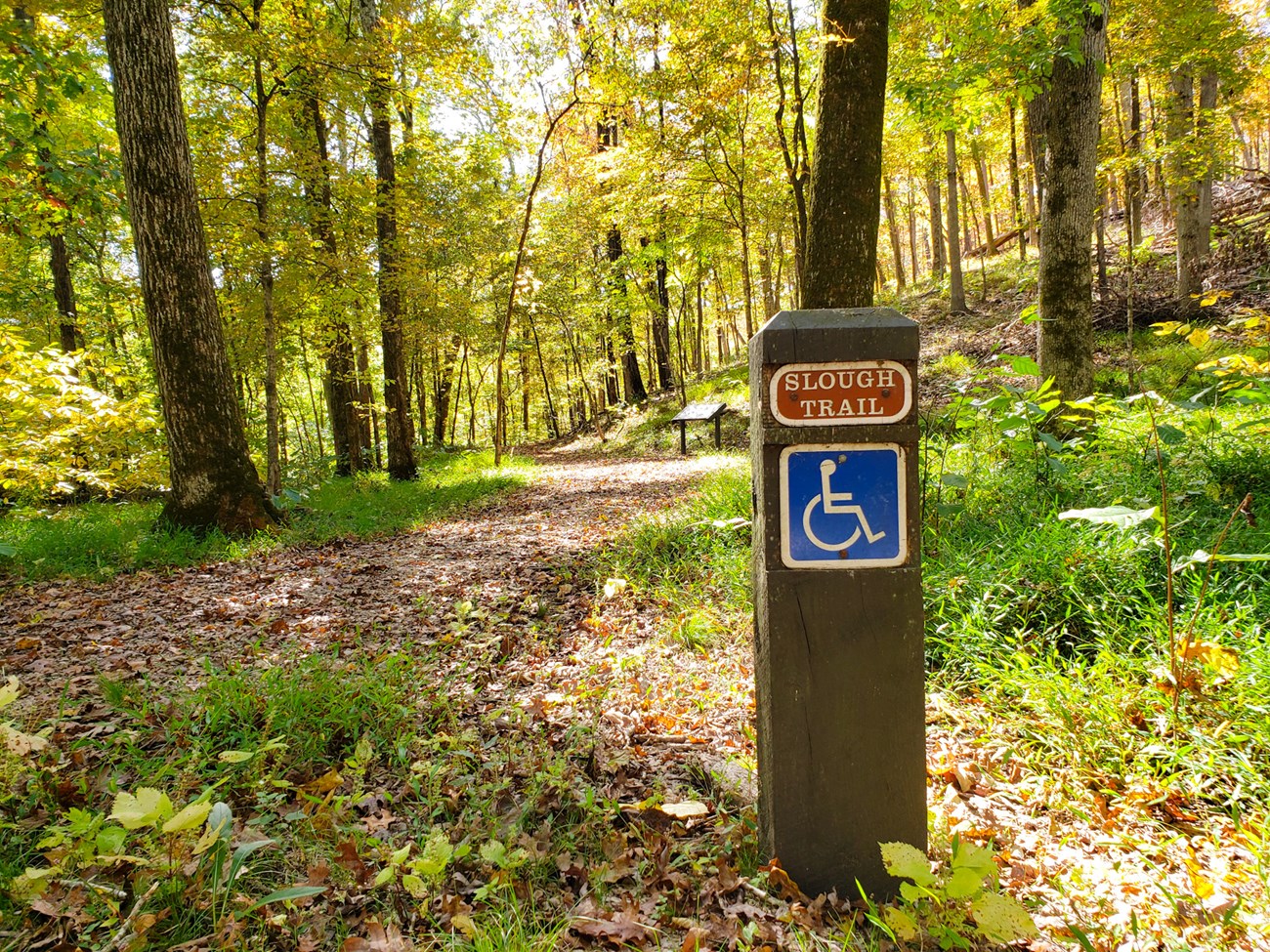 A hiking trail leads into the woods. The trees are a mix of yellows and greens.