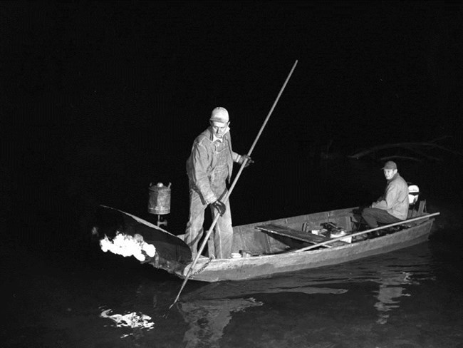 Historic picture of men in boat gigging for fish