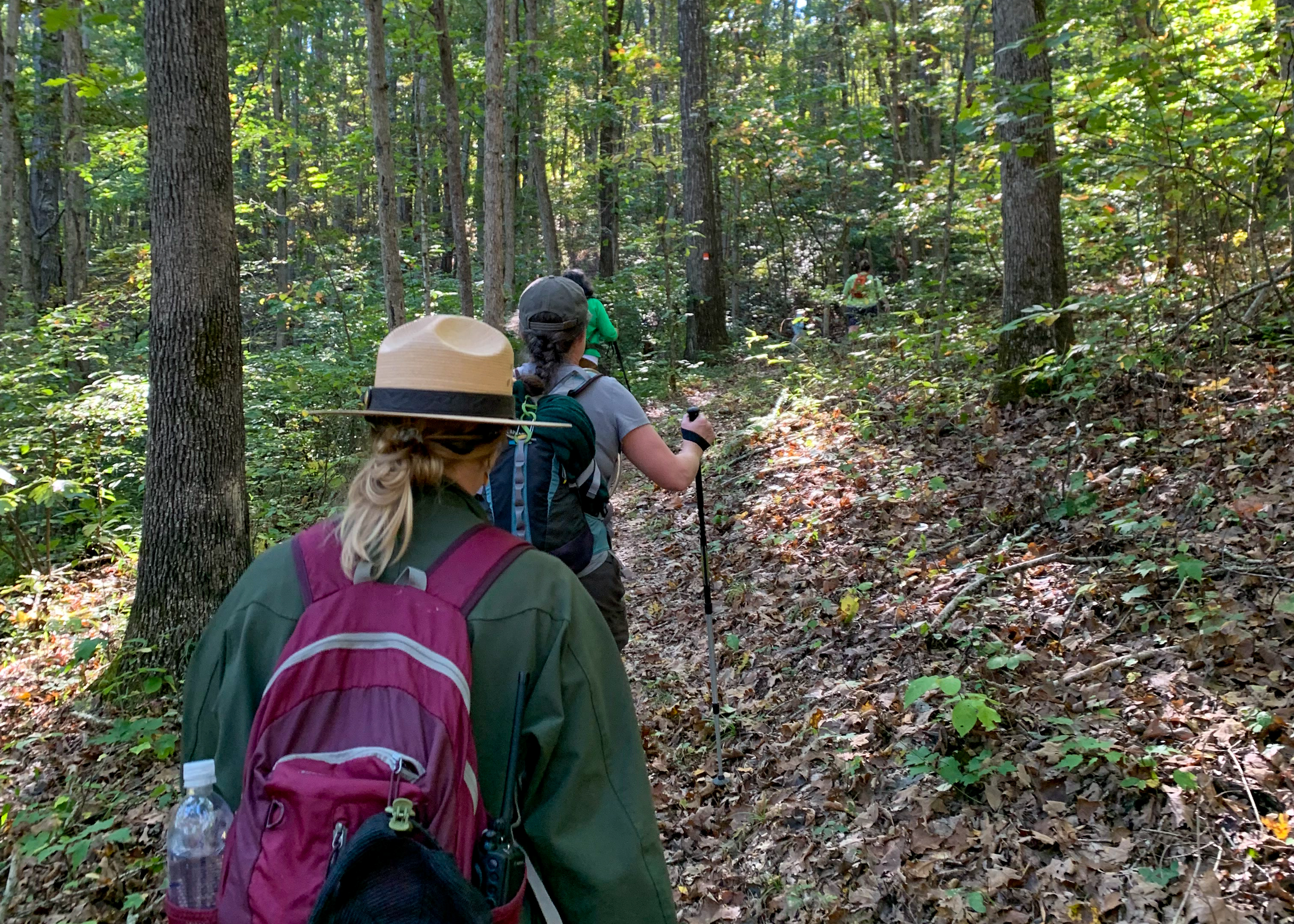 A uniformed park ranger and several hikers walk down a trail through a lush, green forest.