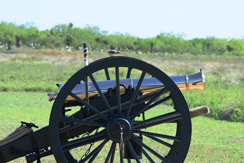 Nature - Palo Alto Battlefield National Historical Park (U.S. National ...