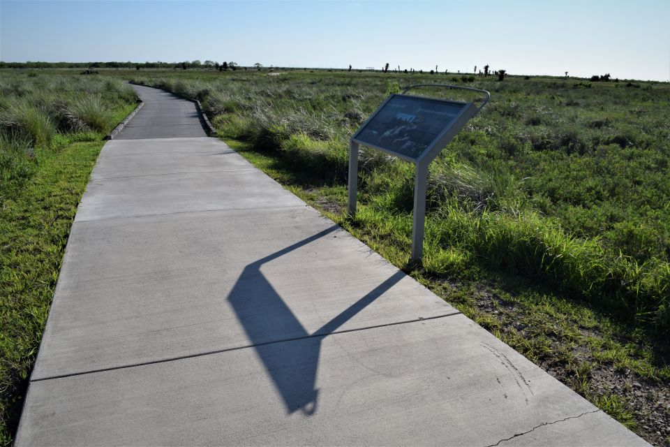 Concrete and deck trail cutting through Gulf Cordgrass