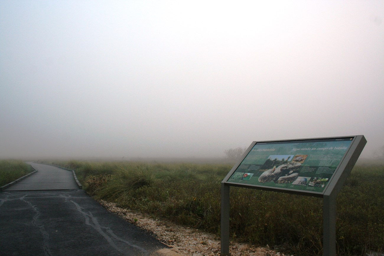 Dense fog encompasses the battlefield