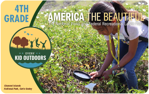A yellow America the Beautiful 4th grade interagency public lands pass with an image of a young girl looking at plants with a magnifying glass