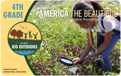 A yellow America the Beautiful 4th grade interagency public lands pass with an image of a young girl looking at plants with a magnifying glass