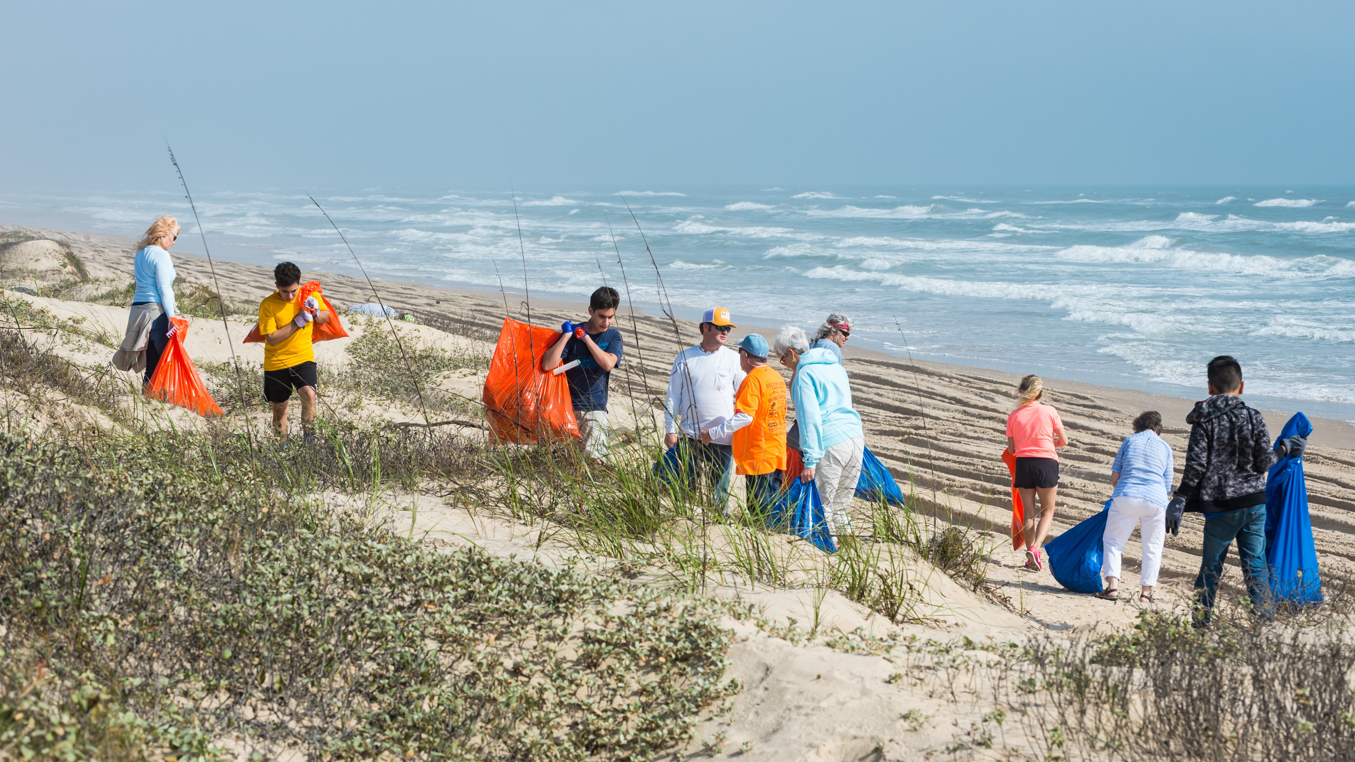 CROP-Debris_Sue-Wolfe-AIR2018_DSC0968-Edit.jpg?maxwidth\u003d650\u0026autorotate\u003dfalse