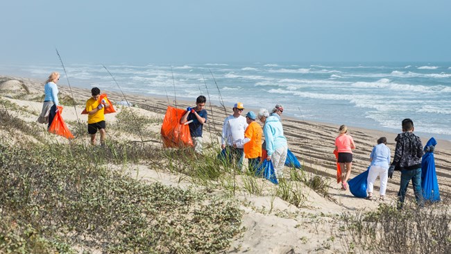 A group of volunteers cleaning the beach