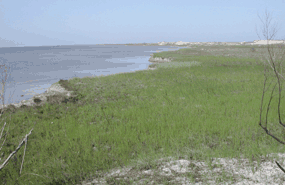 The Laguna Madre on the island's western shore