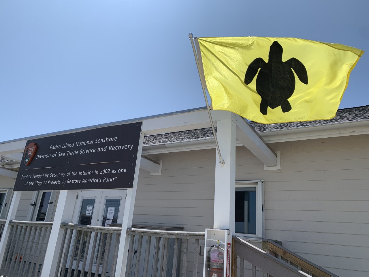 A bright yellow flag with a black silhouette of a sea turtle flying in front of a small one story building.