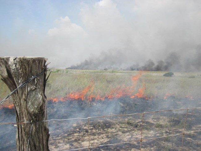 Fire management at Padre Island National Seashore