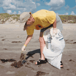 A participant in the 2004 Adopt-a-Beach clean-up (sponsored by the Texas General Land Office) collects trash from along the Padre Island shoreline.
