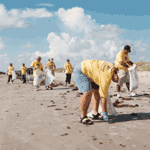 Participants in the 2004 adopt-a-beach clean-up sponsored by the Texas General Land Office