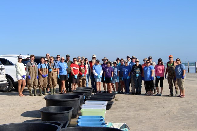Staff from the ARK stand on the beach behind plastic totes containing rehabilitated turtles.
