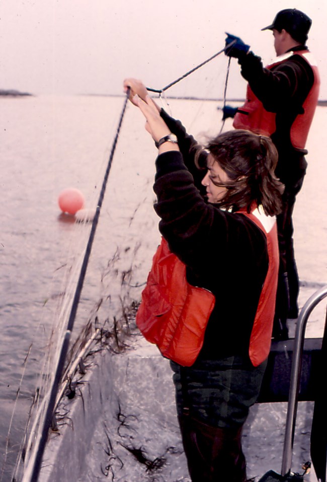 Checking the net