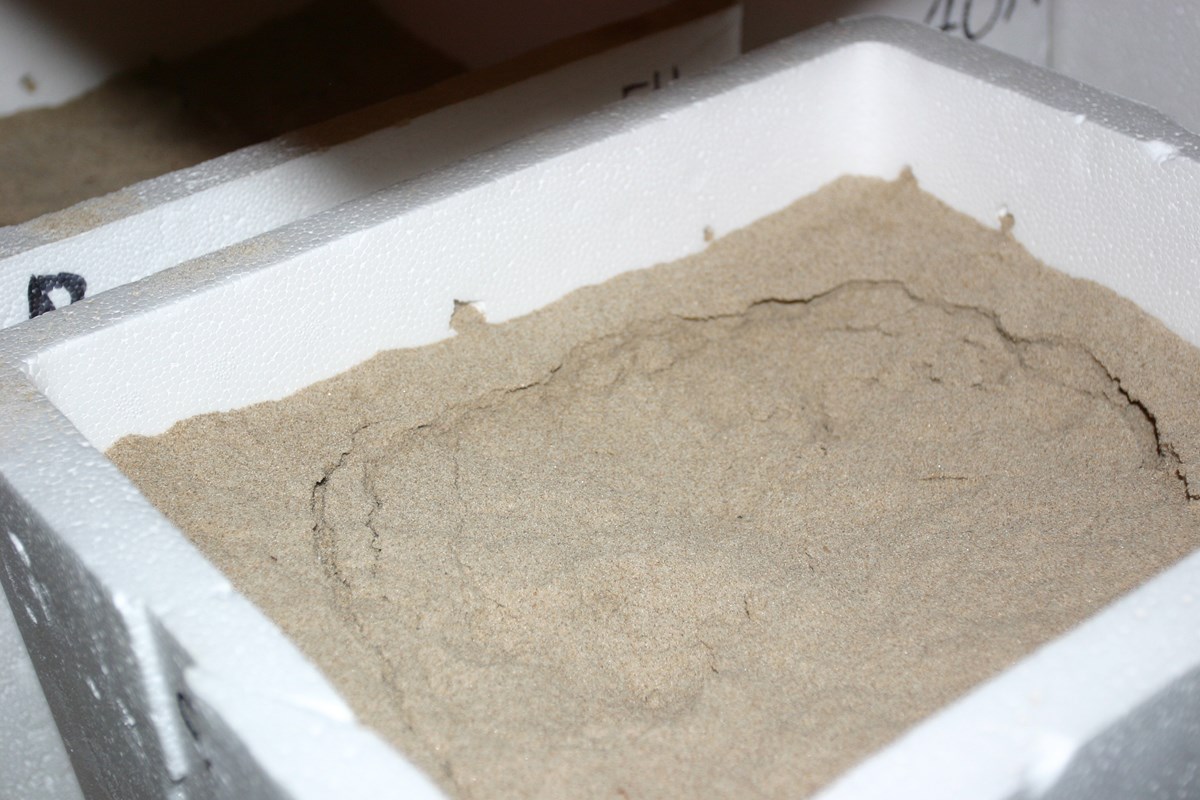 A styrofoam box filled with sand.  The sand surface has small curved cracks in it.
