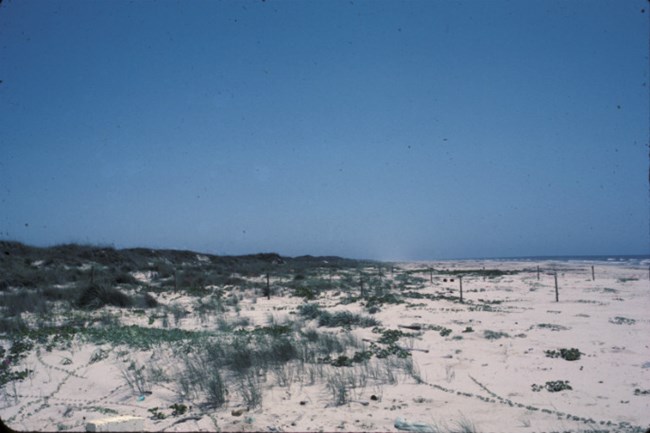 Protected beach at Rancho Nuevo, Mexico