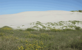 A large sand dune south of the Malaquite Visitor Center.