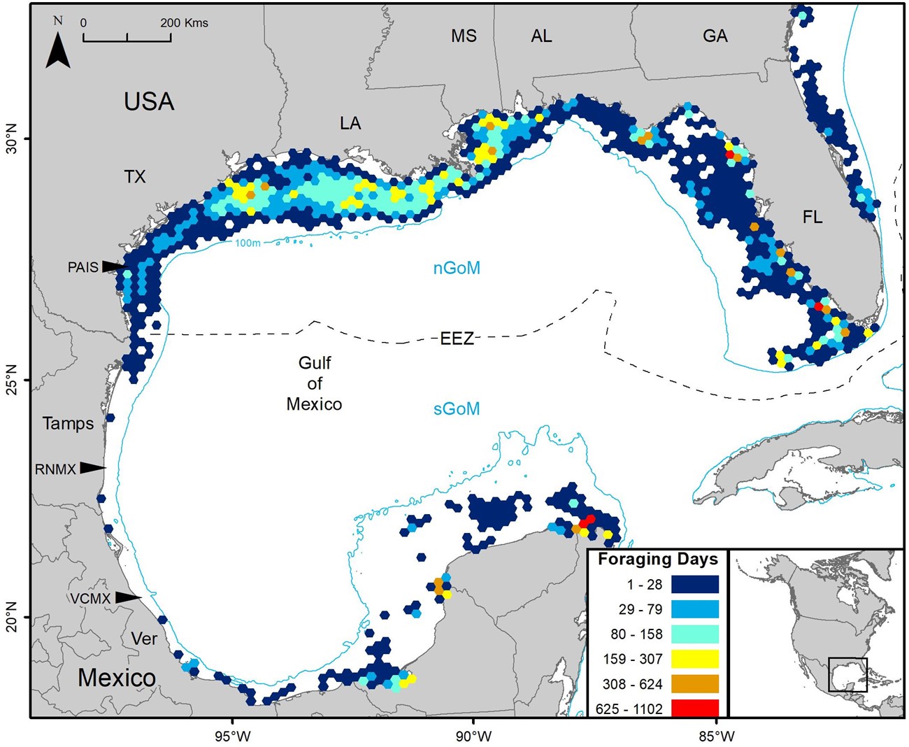 A map of the Gulf of Mexico with colored hexagons representing foraging days for sea turtles.  The hexagons are clustered along the northern edge of the Gulf, from Texas to Florida.