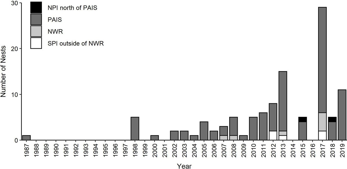 A bar graph showing number of sea turtle nests increasing over time.