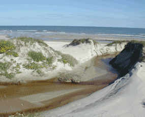 small, temporary channel in beach