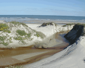 This small channel, which existed for only a few months around 2002-2003, illustrates the ephemeral nature of a barrier island.
