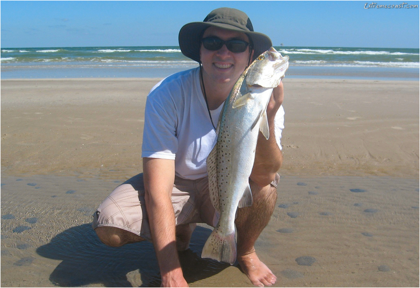Spotted seatrout Spotted seatrout