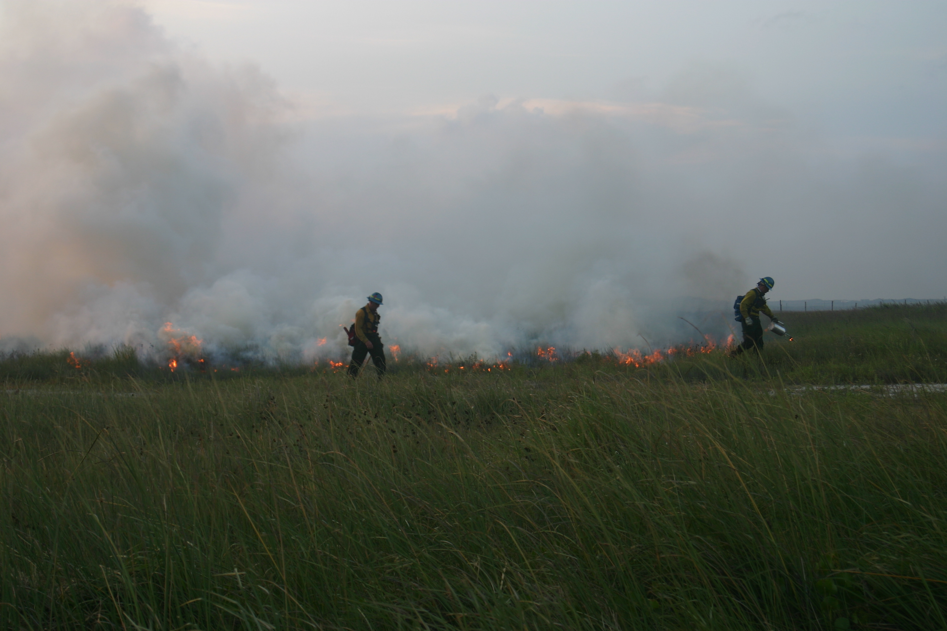 Wildland firefighters with drip torches ignite grasses along a dirt road.
