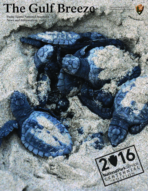 Gulf Breeze cover photo- 2016 Gulf Breeze cover photo- 2016