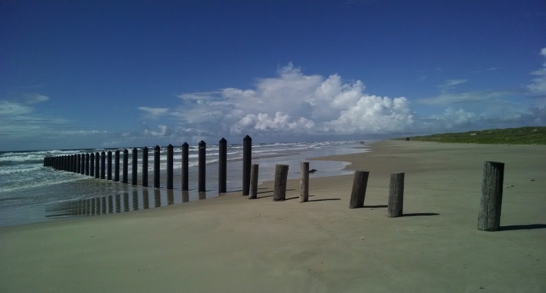 Beach closures June 2015