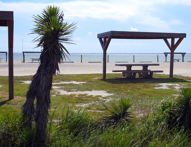 Campsite at Bird Island Basin Campground with the Laguna Madre in the background.