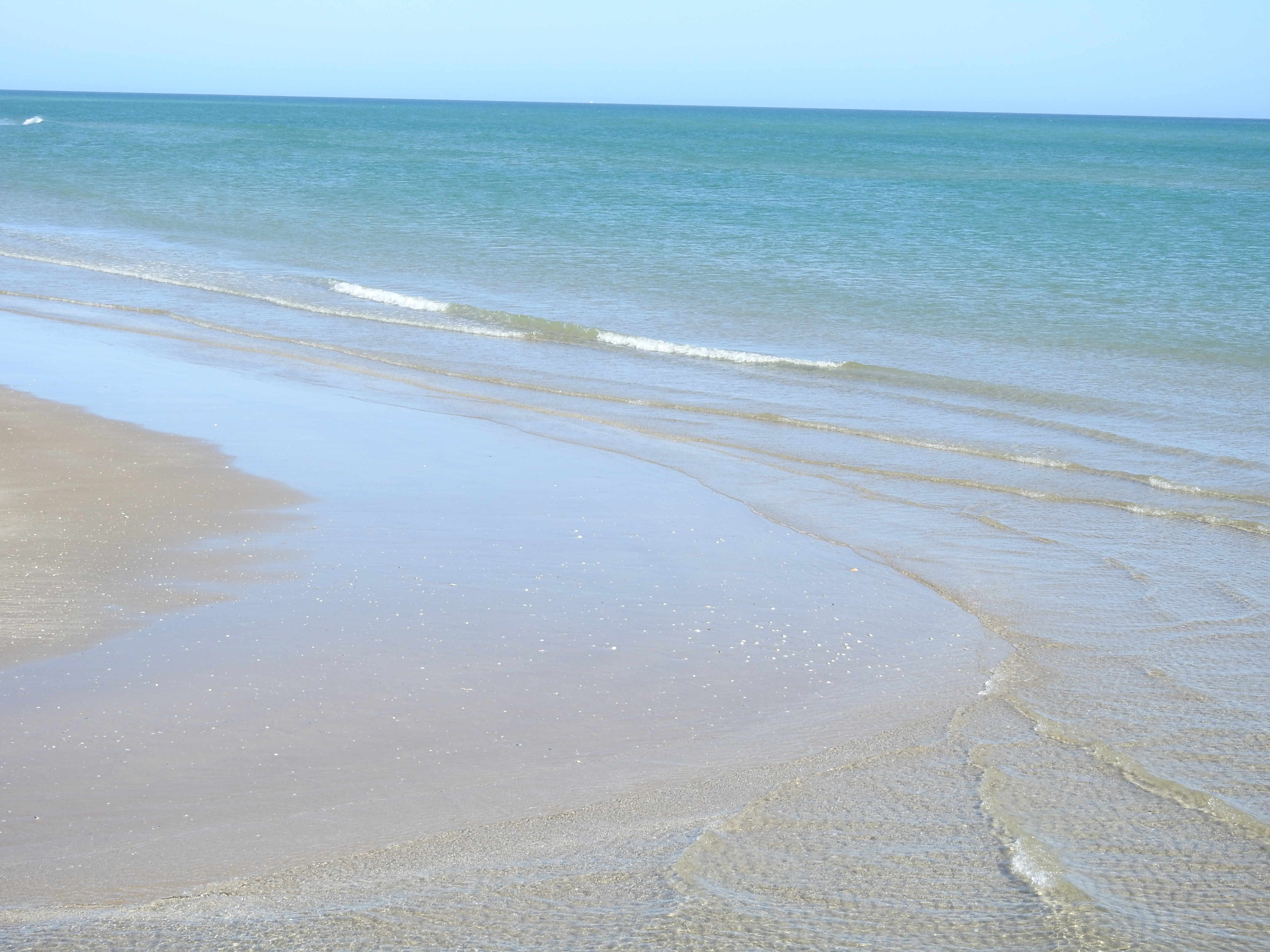 south beach padre island national seashore south beach padre island national seashore