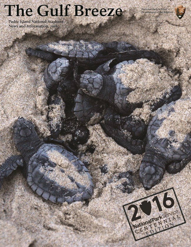 Gulf Breeze cover 2016 Gulf Breeze cover 2016
