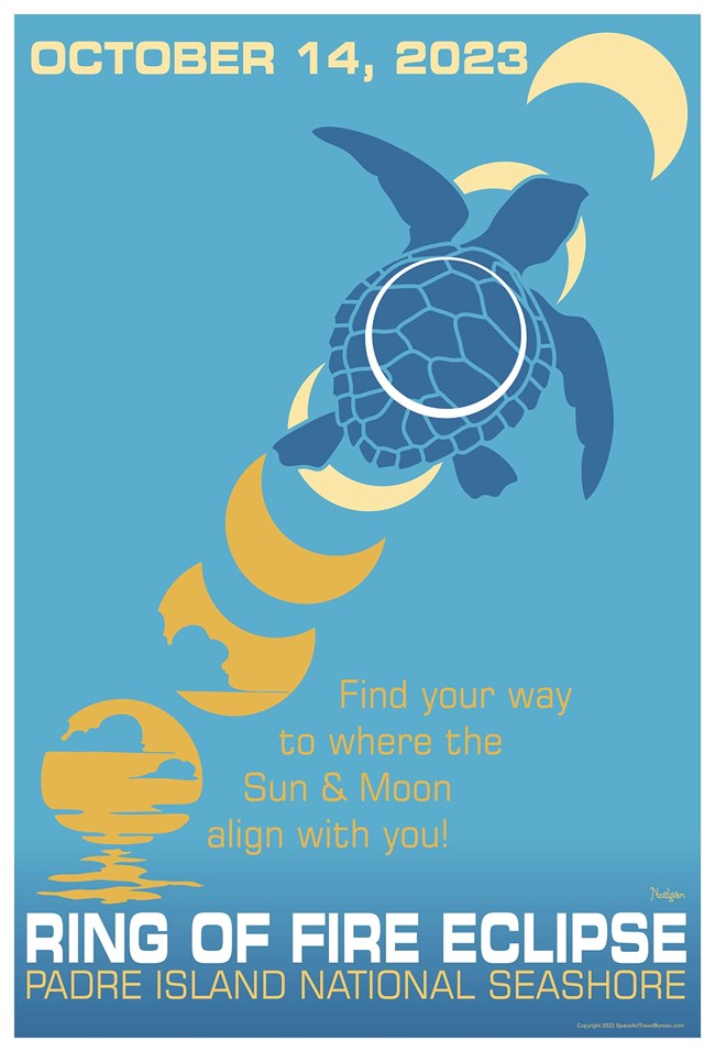 A stylized poster showing a solar eclipse and a sea turtle.