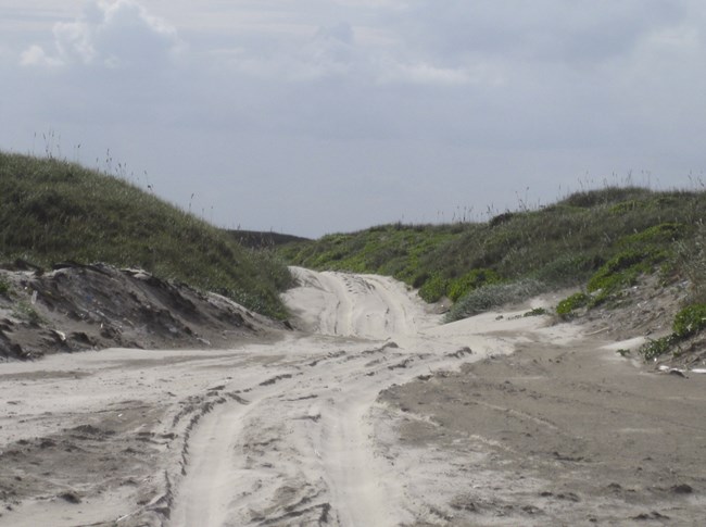 Yarborough Pass
