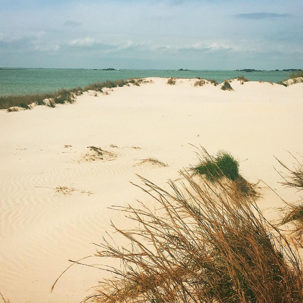 Laguna Madre