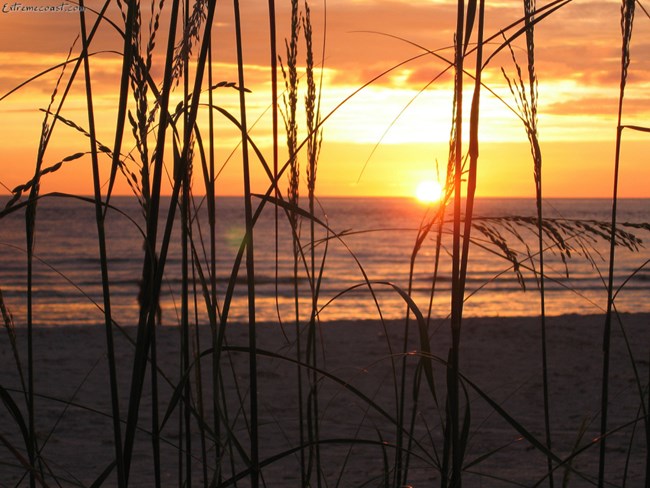 Padre Island National Seashore Padre Island National Seashore