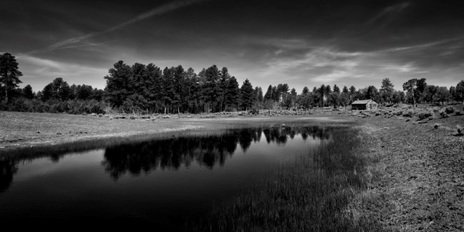 A black and white photo of a watering hole and old ranch house surrounded by ponderosa trees.