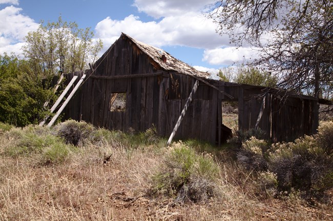 The old wooden slats of Oak Grove ranch house being held up with support braces.